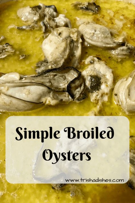 Broiled Seafood, Broiled Oysters Recipe, Baked Oyster Recipes, Oyster Stew Recipes, Broiled Oysters, Baked Oysters, Cooked Oysters, Oyster Stew, Oyster Roast