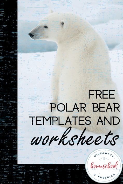 Polar bears are adorable creatures. Yet, they are also fierce and powerful. Check out these free polar bear templates and worksheets as a great addition to your polar bear or arctic animal unit study. Animal Unit Study, Polar Bears Preschool, Polar Bear Unit, Polar Bear Facts, Bears Preschool, Polar Bear Images, Bear Template, Free Word Search, Homeschool Freebies