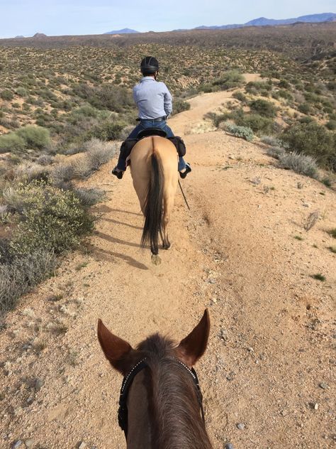 https://twitter.com/AdolfoMorales70/status/565227141009133568 Zions National Park, Las Vegas 2023, Vegas 2023, Las Vegas Attractions, Vegas Attractions, Horse Back Riding, Cave Creek, Nature And Wildlife, Travel Website