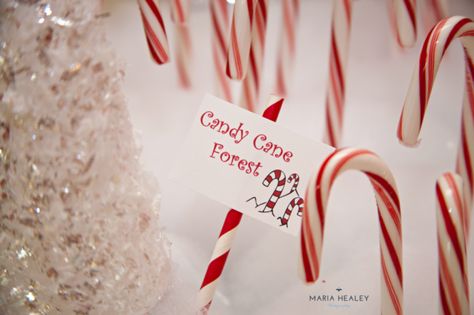 The Elf Movie, Elf Themed Christmas Party, Candy Cane Forest, Elf Party, Cane Decor, North Pole Breakfast, Winter Party Themes, Santa Party, Holiday Party Ideas