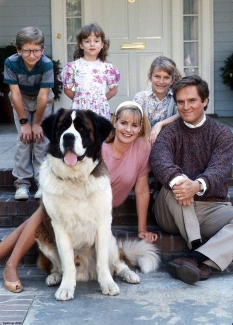 30 Of The Greatest Movie Dogs Nothing makes a movie better than having a really cute dog as the star (or supporting role). Beethoven Movie, Dog Movies, Famous Dogs, Childhood Movies, 90s Movies, Really Cute Dogs, 90s Childhood, St Bernard, 90s Nostalgia