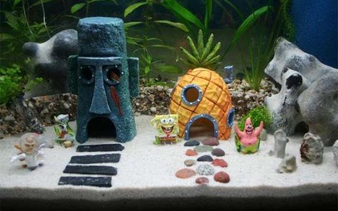 Who lives in a pineapple-shaped Spongebob aquarium ornament? Your goldfish, that’s who. Give your aquarium the same flair as Bikini Bottom with a new... Spongebob Fish Tank, Fish Tank Themes, Aquarium Set, Cool Fish Tanks, Diy Aquarium, Aquarium Ornaments, Desain Lanskap, Cool Fish, Home Aquarium