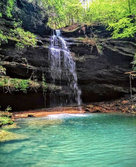 Fun Things To Do In Alabama, North Alabama Things To Do In, Alabama Travel Places To Visit, Alabama Things To Do, Places To Visit In Alabama, Alabama Waterfalls, Albertville Alabama, Things To Do In Alabama, Smith Lake Alabama