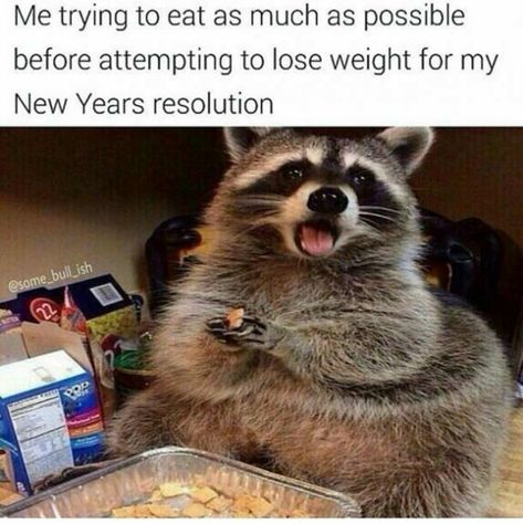 New Year Eve Quotes Funny, New Year Resolution Meme, New Years Eve Meme, Funny New Years Memes, New Years Resolution Funny, Christmas Funnies, New Year Quotes Funny Hilarious, Relatable Moments, Happy New Year Funny