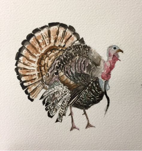 Turkey Drawing Realistic, Turkey Animal Drawing, Turkey Watercolor Painting, Watercolor Turkey Paintings, Halloween Watercolors, Turkey Watercolor, Watercolor Turkey, Spring On The Farm, Painted Turkey