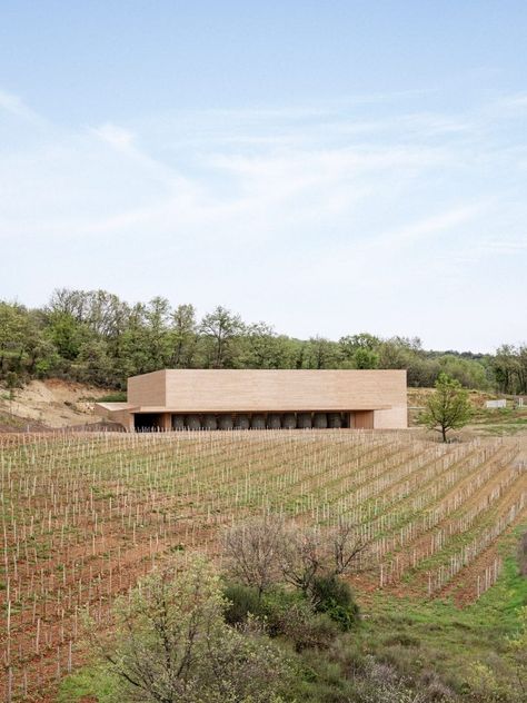 St Emilion, Wine Cellars, Southern France, Ground Floor Plan, Minimalist Architecture, French Countryside, Texas Hill Country, Cote D’azur, Site Plan