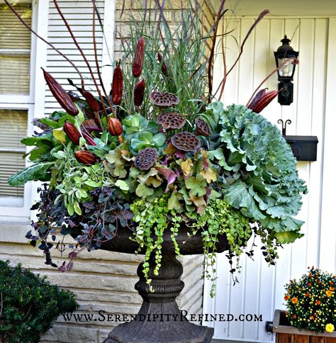 Fall Urn, Fall Pots, Fall Container Gardens, Fall Containers, Fall Planters, Garden Urns, Urn Planters, Fall Front Porch, Garden Containers