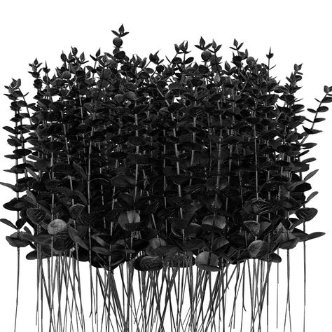 PRICES MAY VARY. [Package Includes] 96pcs Black artificial eucalyptus stems,each branch with about 25 leaves. [Sizes of flexible eucalyptus stems] These artificial eucalyptus leaves are around 15in/38cm in length,and the stems are iron wire inside that can bend the branch in many shapes to fit your vase. [Premium Material ]These TGANNYOCR Black faux eucalyptus leaves are made of premium plastic, it use the powder planting technology to create a natural style which make the artificial flowers lik Halloween Branches, Branches Decor, Black Eucalyptus, Bouquet Centerpiece, Eucalyptus Stems, Centerpiece Home, Faux Eucalyptus, Artificial Eucalyptus, Faux Leaf