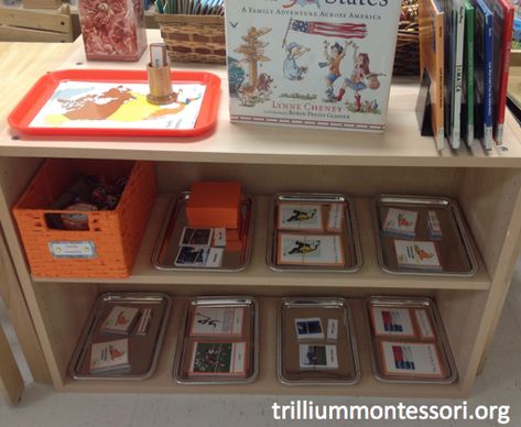 North America Geography Shelf North America Geography, Montessori Geography, Montessori Lessons, Teacher Office, Unit Studies, Montessori Activities, Study Unit, Geography, The Box