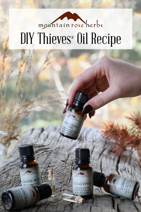 Thieves Oil Recipe, Diy Thieves, Cinnamon Bark Essential Oil, Thieves Oil, Diluting Essential Oils, Thieves Essential Oil, Aromatherapy Recipes, Mountain Rose, Mountain Rose Herbs