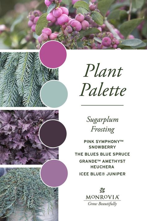 Salvia Border Garden Ideas, Purple Pink Garden, Garden Color Combinations, Garden Color Palette, Plant Palette, Sugarplum Fairy, Purple Flowers Garden, Flower Bed Designs, Purple Garden