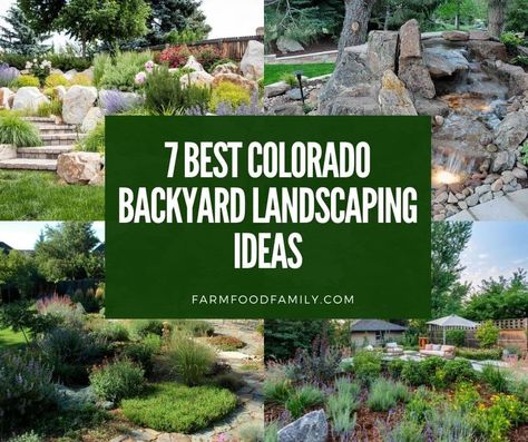 best-colorado-backyard-landscaping-ideas Colorado Backyard Ideas, Colorado Xeriscape Backyard, Mountain Side Landscape Ideas, Denver Backyard Landscaping, Colorado Natural Landscaping Ideas, 0 Scape Landscaping, Landscape Ideas Colorado, Landscape Design Colorado, Colorado Mountain Landscaping Ideas