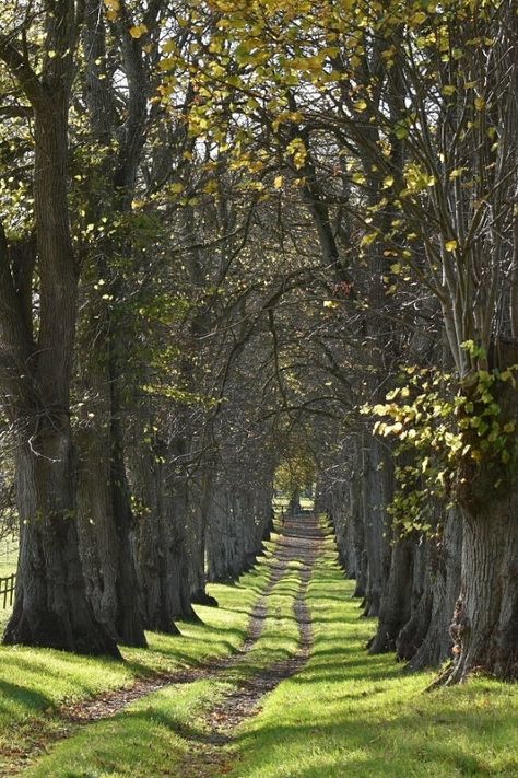 Ireland Countryside Landscapes, Irish Countryside House, Irish Landscape Aesthetic, Ireland Cottage Aesthetic, Irish History Aesthetic, Irish Countryside Cottage, Irish Astetic, Photos Of Ireland, House In Ireland