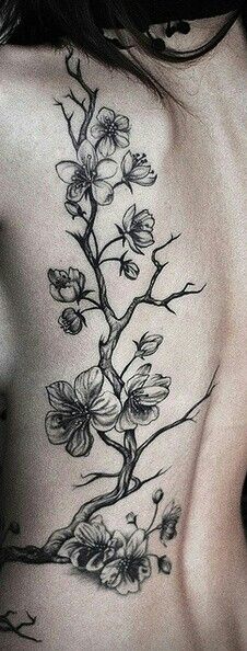 Cherry blossom black & gray tattoo Cherry Tree Tattoos, Rosen Tattoo Frau, Tree Tattoo Back, Blossom Tree Tattoo, Girl Back Tattoos, Flower Tattoo Back, Tree Tattoo Designs, Pieces Tattoo, Japanese Tattoos