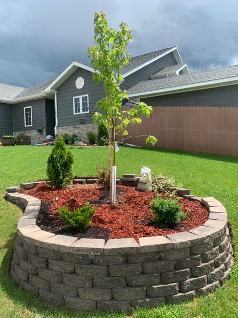 Raised tree and shrub bed Raised Tree Bed, Tree Bed, Raised Bed, Trees And Shrubs, Raised Beds, Yard Landscaping, Front Yard Landscaping, Garden Beds, Front Yard