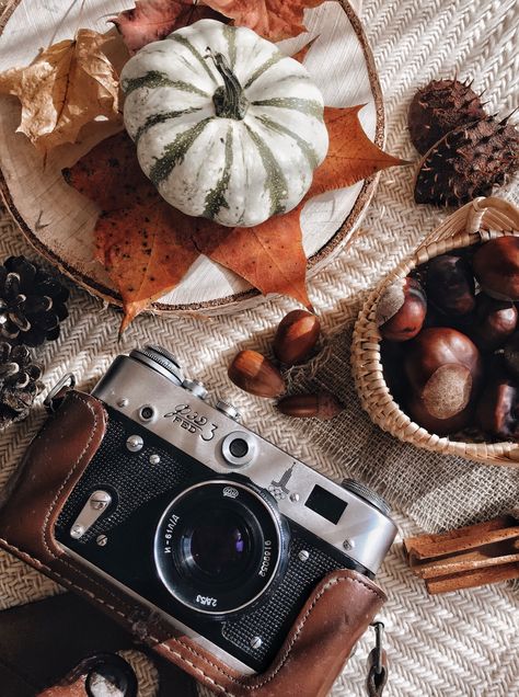 Fall Camera Aesthetic, Halloween Product Shoot, Autumn Product Photography, Halloween Flatlay, Month Themes, Flatlay Aesthetic, Autumn Flatlay, Bag Shoot, Autumn Backgrounds