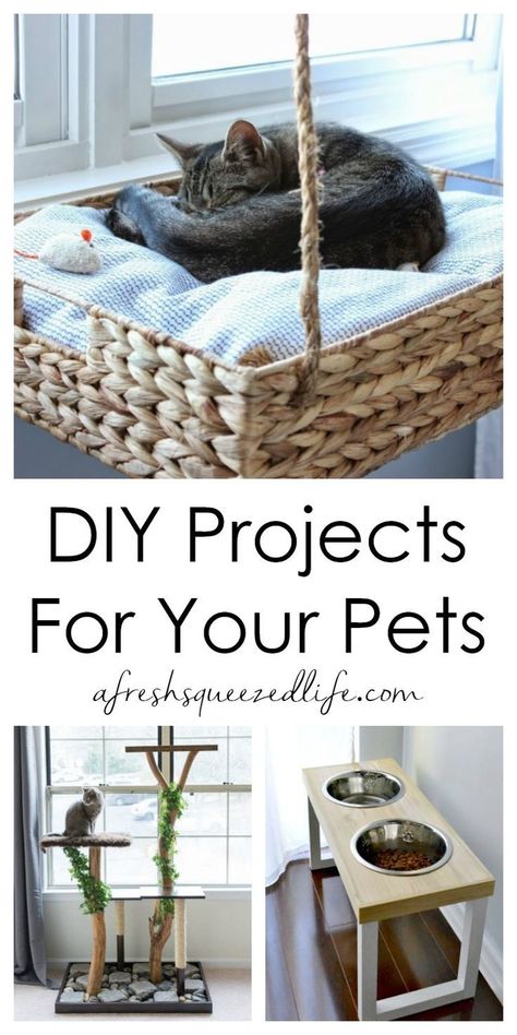 Add a fun touch to your home decor with a DIY project for your dog or cat. These tutorials are easy and they are a great way to love your pet! Pet Diy Projects, Katt Diy, Diy Cat Bed, Katt Grejer, Pet Diy, Pet Project, Diy Cat Tree, Cat House Diy, Diy Cat Toys