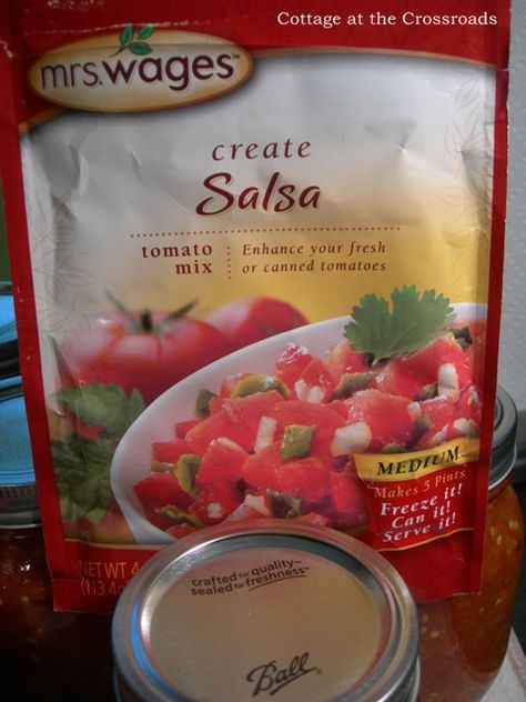 packaged salsa mix Ms Wages Salsa Recipe, Salsa Mix Dry, Salsa Seasoning Recipe, Mrs Wages Salsa Mix Recipe, Dry Salsa Mix Recipe, Mrs Wages Salsa Recipe, Salsa Recipie, Jalapeno Salsa Recipe, Chunky Salsa Recipe