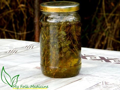 How to Make Thyme Infused Oil at Home? How To Make Thyme Oil, Thyme Oil Recipes, Thyme Oil Benefits, Thyme Infused Olive Oil, Clover Oil, Homemade Oils, Infused Oil Recipes, Medicinal Remedies, Skincare Homemade