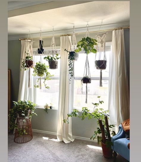 Tall Plant Shelf Indoor, Living Room Window Plant Decor, Hanging Plants With Curtains, Hanging Plants In Window With Curtains, Plant Room Curtains, Indoor Plant Display With Grow Lights, Plants Hanging From Ceiling Living Rooms, Plants Hanging In Front Of Window, Hanging Plants In Bay Window