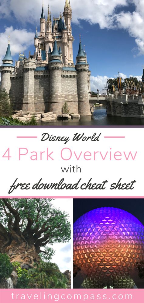 What Disney Parks To Visit, Disney World Parks And Rides, Disney Cheat Sheet, Disney World Cheat Sheet, Disney World Parks Orlando, Disneyworld 2024, Disney World Family Vacation, Disney Savings, Sister Trip