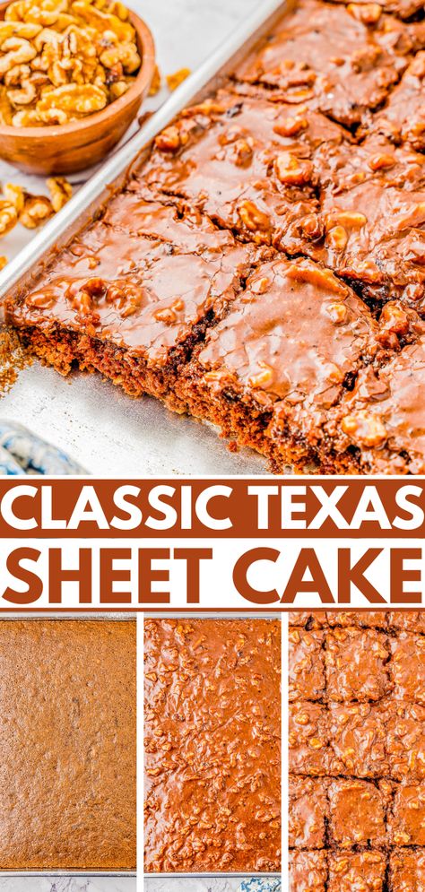 Texas Sheet Cake –  An EASY no-mixer recipe for classic Texas sheet cake that's so rich in chocolate flavor thanks to the moist chocolate cake itself and to the chocolate frosting with walnuts for a bit of crunch in every bite! Ready in less than 1 hour, and it feeds a crowd, making this a perfect party or celebration cake any time of year! Cake Recipes For Beginners, Cake Sheet, Texas Sheet, Averie Cooks, Texas Sheet Cake, Dessert Recipies, Sheet Cake Recipes, Warm Cake, Dessert Tray