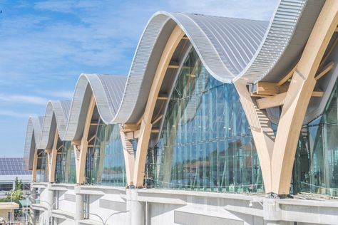 Mactan Cebu International Airport in the Philippines Mactan Cebu International Airport, Wavy Roof, Mactan Cebu, Philippine Architecture, Fasad Design, Timber Architecture, Timber Roof, Airport Design, Roof Architecture