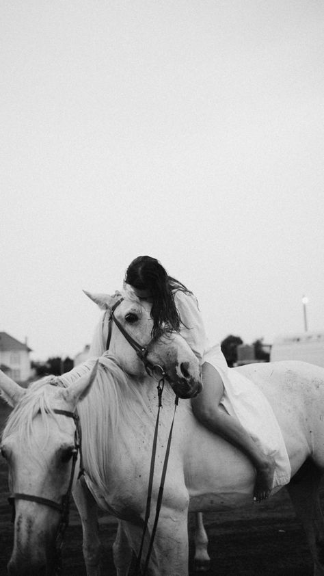 Equine Photography Poses, Cowgirl Photoshoot, Horse Photography Poses, Foto Cowgirl, Horse Inspiration, Shotting Photo, Horse Aesthetic, Equine Photography, Horse Photos