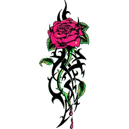 My next tattoo it will also have wild irish rose Irish Rose Tattoo, Cool Rose Tattoos, Tattoo Irish, Family Quotes Tattoos, Wild Irish Rose, White Rose Tattoos, Rose Tattoos For Men, Worlds Best Tattoos, Irish Tattoos