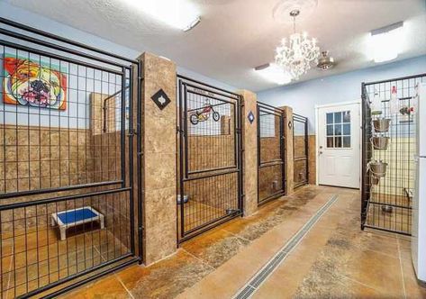 Lufkin TX Barndo 1.74 acres 2952sqft 3bed 3 bath with Dog Kennel | Metal Building Homes Indoor Boarding Kennels For Dogs, Kennel Building Ideas, Indoor Diy Dog Kennel, Fancy Dog Kennels, Animal Board Ideas, In Home Dog Kennel, Dog Room Kennel, Barndominium Dog Room, Luxury Dog Kennel Pet Hotel