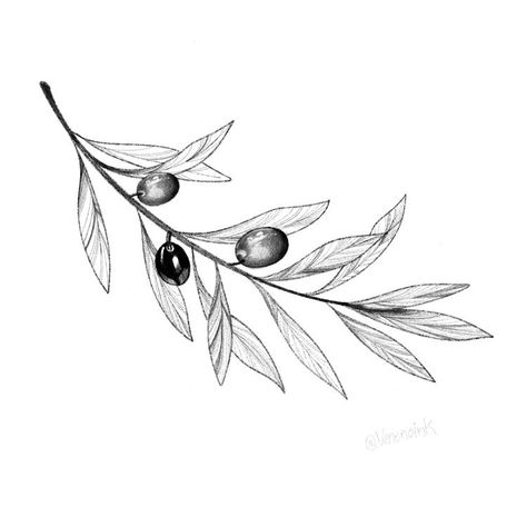 Olive Branch Drawing Tattoo, Delicate Olive Branch Tattoo, Greek Olive Tattoo, Oliver Branch Tattoo, Olive Tattoo Design, Olive Tattoo Branch, Olive Leaf Tattoo Design, Olive Leaf Drawing, Olive Wreath Tattoo