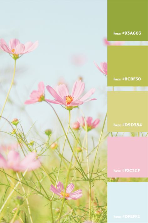 Pastel Pink Blue Green Palette, Pastel Green And Pink Color Palette, Lime Green And Pink Aesthetic, Green Summer Color Palette, Lime Green And Pink Color Palette, Light Blue Pink Green Color Palette, Light Green Pink Aesthetic, Pink And Green Wedding Color Palette, Pastel Nature Color Palette