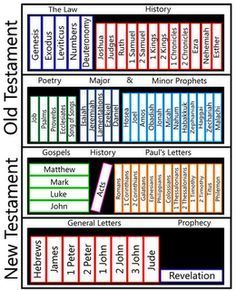 Blair Kasfeldt: Divisions of the New Testament Bible: How the Bible is Arranged Missing Books Of The Bible, Books Of The Bible For Kids, Books Of The Bible Categories, Books Of The Bible Printable Free, Books Of The Bible Craft, The Books Of The Bible, Bible Books, New Testament Bible, Bible Songs