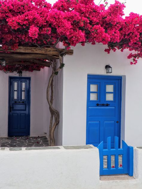 Dance like the Bougainvileas Garden Summer House, Greece House, Santorini House, Greek House, Island House, Foto Art, New Images, Bougainvillea, Beautiful Doors