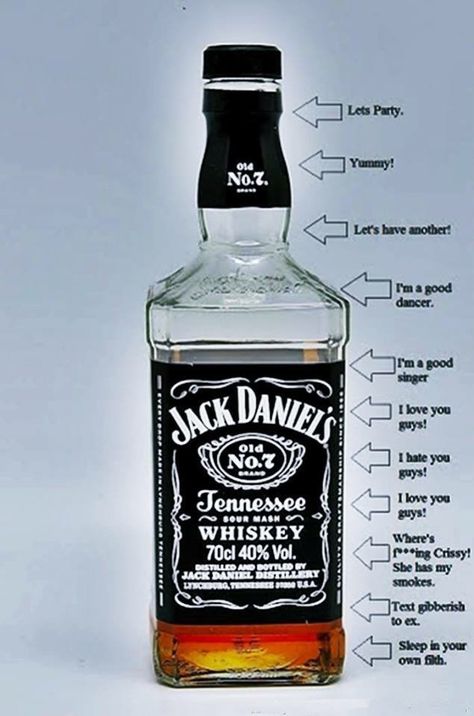 Jack Daniels Party, Jack Daniels Honey, Whiskey Quotes, Jack Daniels Bottle, Whiskey Girl, Jack Daniels Distillery, Alcohol Aesthetic, Beer Company, Drinking Quotes