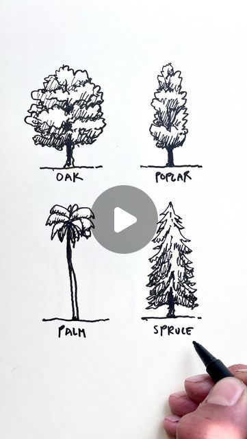 Linescapes on Instagram: "Which tree species do you want to learn to draw? 🌳✍️🙂  #Linescapes" Tree Sketches Pencil, Tree Sketch Tutorial, Trees Drawing Tutorial, Micron Pen Art, Dyi Art, Micron Pen, Tree Species, Tree Sketches, Watercolor Tutorials