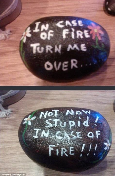 Funny Rock, Joke Gifts, Recycling Ideas, Painted Rocks Diy, Rock Painting Ideas Easy, Rock Painting Designs, Stone Crafts, Rock Crafts, White Elephant