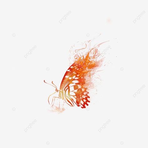 Butterfly Burning Tattoo, Fire Butterfly Drawing, Red Light Effect Png, Flaming Butterfly Tattoo, Butterfly Flame Tattoo, Fire Flower Tattoo, Fire Butterfly Tattoo, Butterfly On Fire Tattoo, Butterfly On Fire