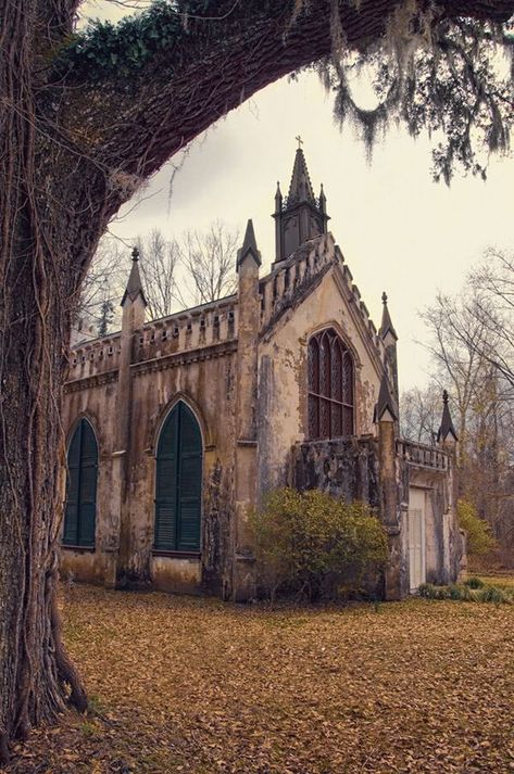 Abandoned. @5670c64fffaf0fbf18b3cae8 Private Chapel, Mississippi Travel, Natchez Mississippi, Abandoned Churches, Natchez Trace, Old Country Churches, Church Pictures, Country Church, Old Churches