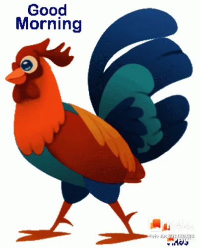 Good Morning Chicken GIF - GoodMorning Chicken Walking - Discover & Share GIFs Good Morning Gif Funny, Fun Messages, Cute Good Morning Gif, Farm Cartoon, Morning Gifs, Good Morning Smiley, Animated Emoticons, Good Morning Animation, Emoji Images