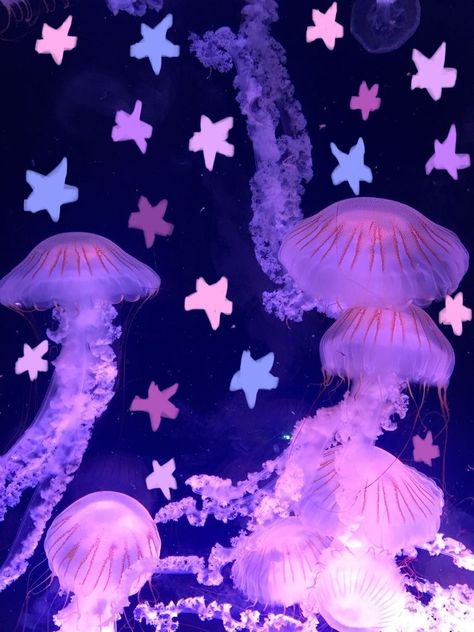 Jellyfish Playlist Cover, Colorful Jellyfish Wallpaper, Jellyfish And Stars, Jelly Fish Laptop Wallpaper, Jellyfish Pfp Aesthetic, Cute Fish Aesthetic, Pink Meanie Jellyfish, Jellyfishes Aesthetic, Jellyfish Aesthetic Art