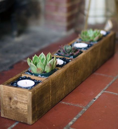 Wood Succulent Planter, Diy Succulent Terrarium, Succulent Display, Succulent Planter Diy, Tafel Decor, Crystal Shelves, Hanging Succulents, Terrarium Diy, Succulent Terrarium