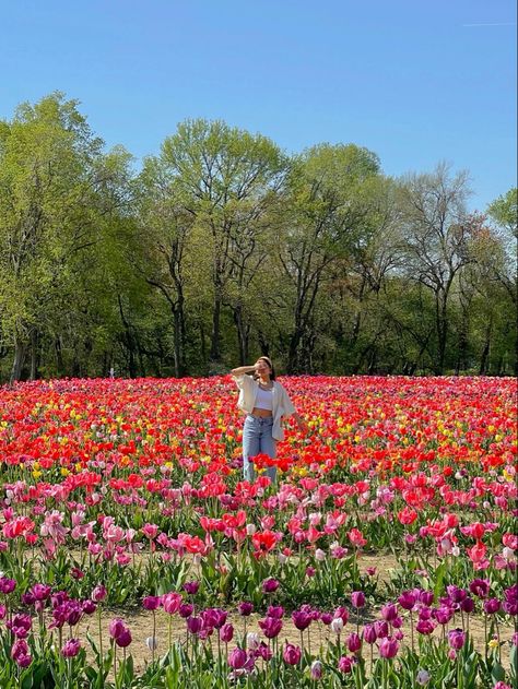 tulip farm date Tulip Outfit Aesthetic, Tulip Picture Ideas, Flower Farm Pose Ideas, Tulip Pictures Outfit, Flower Park Outfit, Tulip Pictures Photography, Amsterdam Tulips Outfit, Tulip Festival Photoshoot Outfit, Flower Field Outfit Ideas Jeans