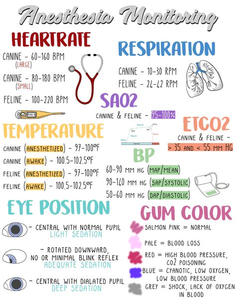 I made this anesthesia monitoring guide for my clinic to hang & train newer technicians Anesthesia Monitoring, Veterinary Anesthesia, Vet School Motivation, Veterinarian Technician, Vet Tech School, Veterinary Tech, Vet Tech Student, Vet Technician, Veterinary School