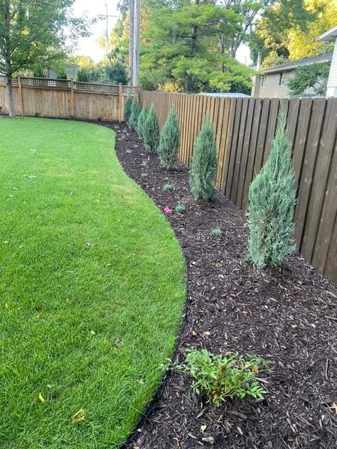 Backyard Landscaping With No Lawn, Landscape Design For Backyard, No Border Landscaping, Landscaping Against Fence Backyard Ideas, Mulch Around Fence Line, Fence Lining Landscape, Backyard Landscaping Border Ideas, House Perimeter Landscaping, Landscape Around Fence Line