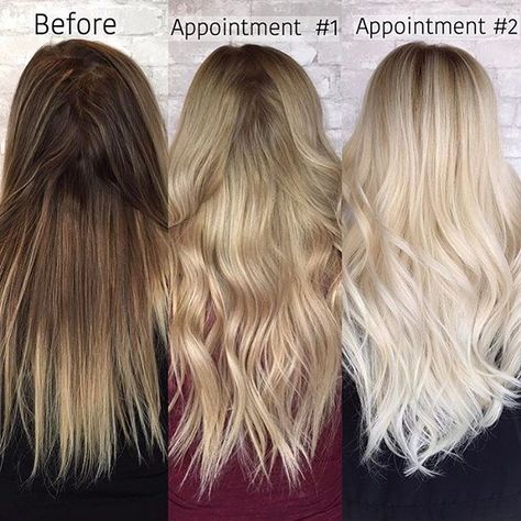 Going Blonde From Brunette, Dark To Light Hair, Blonde Hair Transformations, Going Blonde, Textured Curly Hair, Brown Hair Dye, How To Lighten Hair, Hair Color Techniques, Brunette To Blonde