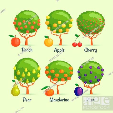 Garden Berries, Food Doodle, Fruit Tree Garden, Ranch Living, Ranches Living, Fruit Bearing Trees, Food Doodles, Types Of Fruit, Different Fruits