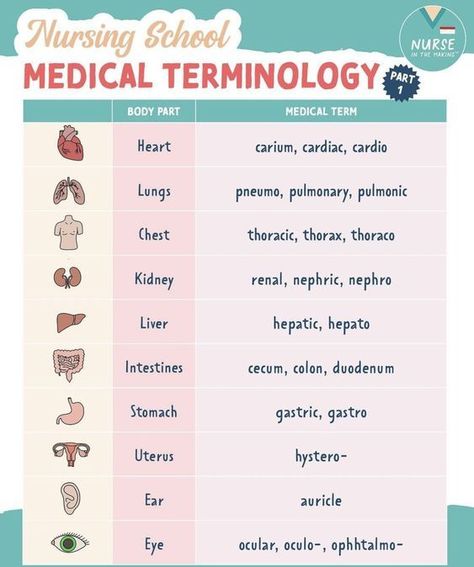 Nursing School Medical Terminology #nursingstudent #nurse #resources - Image Credits:  Lauren Torres Nursing School Studying Cheat Sheets, Medical Terminology Study, Nursing School Inspiration, Medical Assistant Student, Kedokteran Gigi, Nursing School Essential, Medical School Life, Nursing School Motivation, Basic Anatomy And Physiology