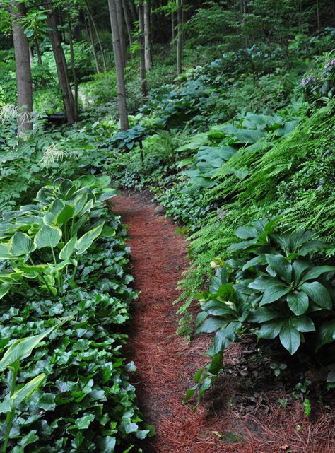 Sloped landscape  by Neil Turnbill of hosta, native trees and ferns, azaleas and rhododendrons  via Three Dogs in a Garden: Part 2 Gardens with an Uneven Terrain Sloped Landscape, Landscaping A Slope, Ferns Garden, Hillside Garden, Hillside Landscaping, Sloped Garden, Three Dogs, Forest Garden, Woodland Garden