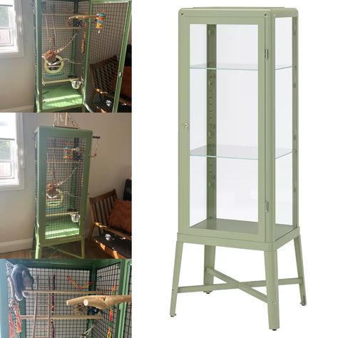 DIY birdcage, Ikea, FABRIKÖR Glass-door cabinet, Quaker Parrot,  Ikea hack Parrot House Diy, Bird Cage In Living Room, Diy Birdcage, Diy Bird Cage, Quaker Parrot, Diy Birds, Finches, Glass Cabinet Doors, Pet Cage